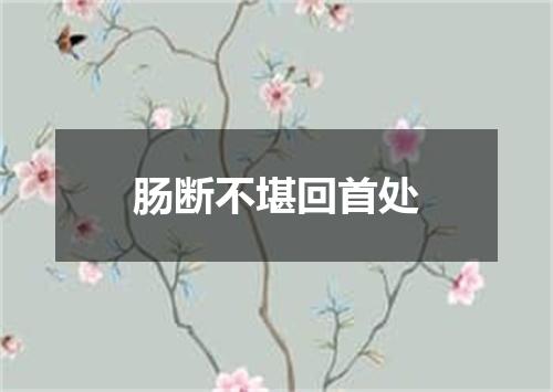 肠断不堪回首处