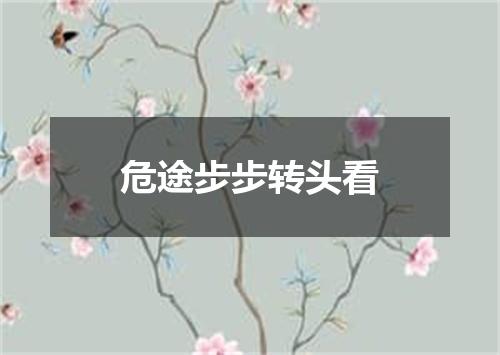 危途步步转头看