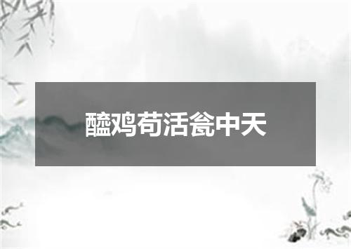 醯鸡苟活瓮中天