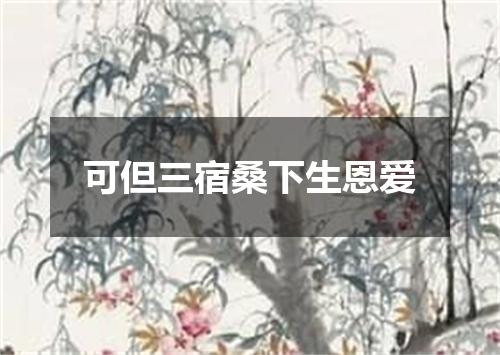 可但三宿桑下生恩爱