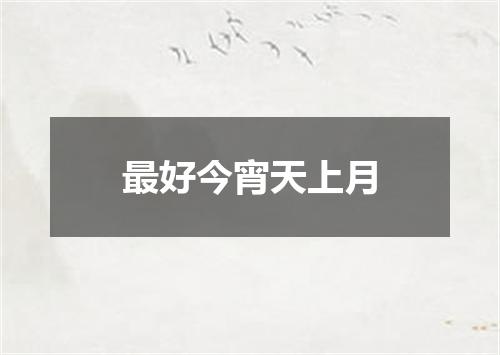 最好今宵天上月