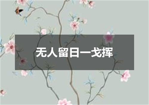 无人留日一戈挥