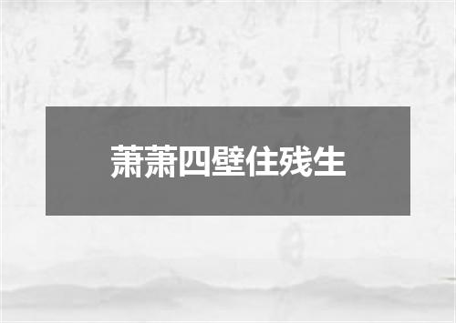 萧萧四壁住残生