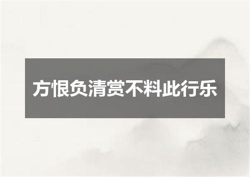 方恨负清赏不料此行乐
