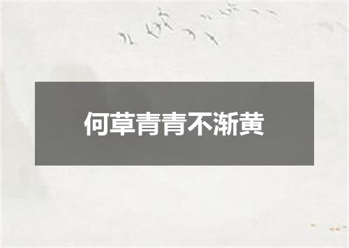 何草青青不渐黄