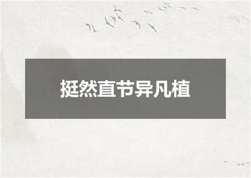 挺然直节异凡植