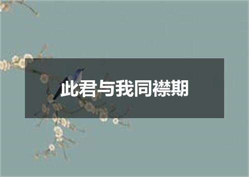 此君与我同襟期