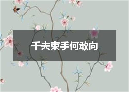 千夫束手何敢向