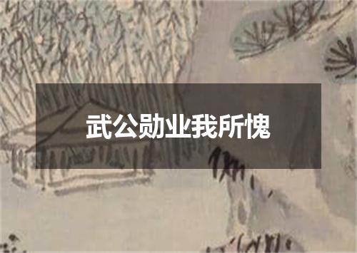 武公勋业我所愧