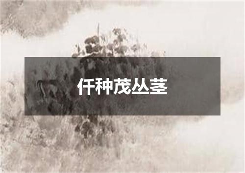仟种茂丛茎