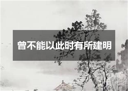 曾不能以此时有所建明