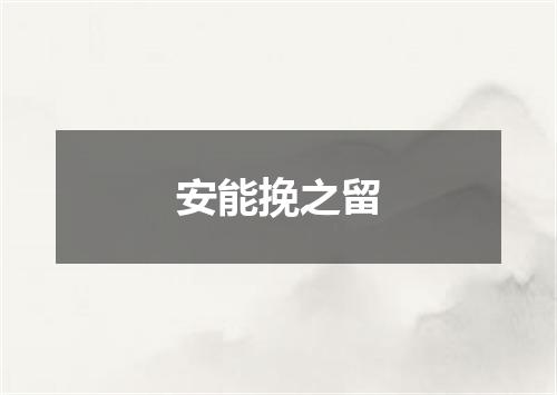 安能挽之留