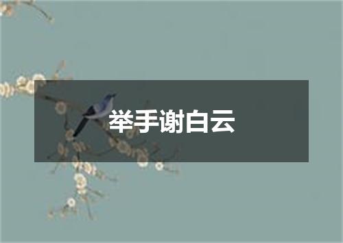 举手谢白云