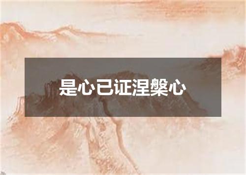 是心已证涅槃心