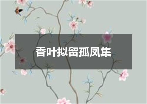 香叶拟留孤凤集