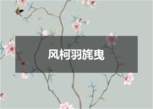 风柯羽旄曳