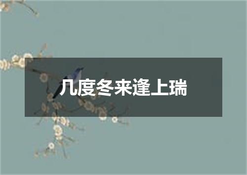 几度冬来逢上瑞