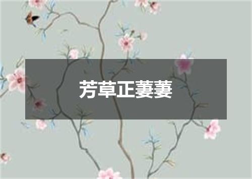 芳草正萋萋