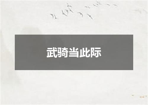 武骑当此际