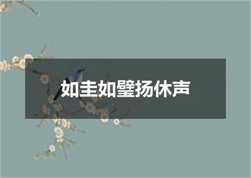 如圭如璧扬休声