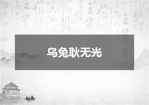 乌兔耿无光
