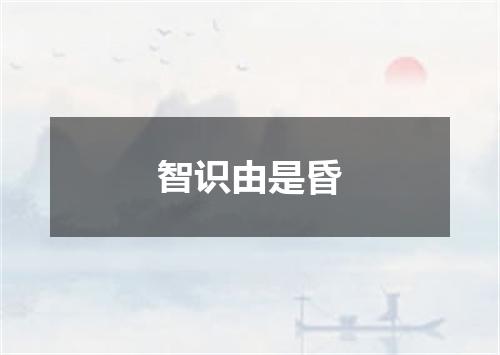智识由是昏