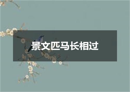 景文匹马长相过