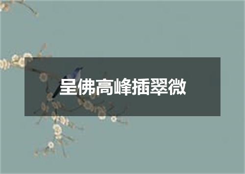 呈佛高峰插翠微