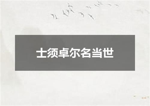 士须卓尔名当世
