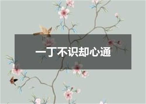 一丁不识却心通
