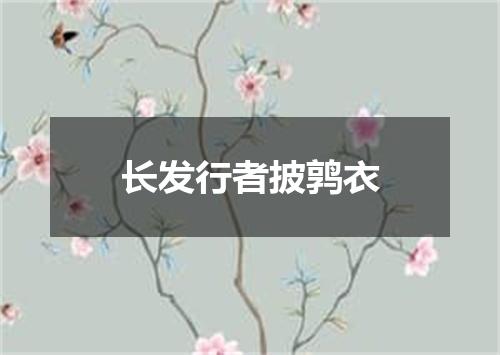 长发行者披鹑衣