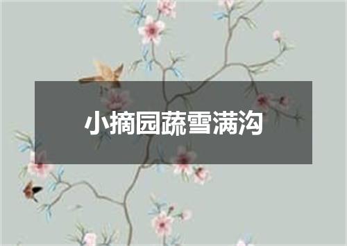 小摘园蔬雪满沟
