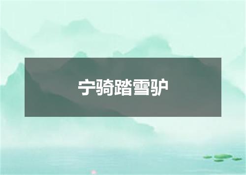 宁骑踏雪驴