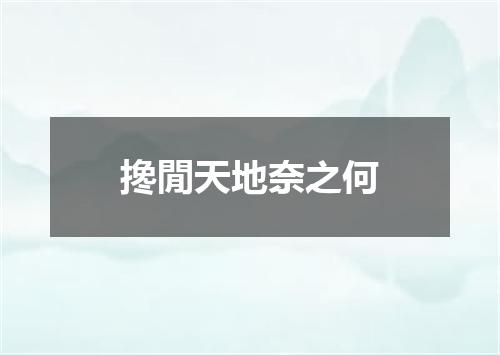 搀閒天地奈之何