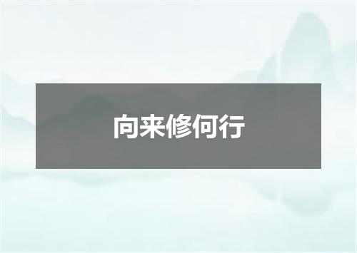 向来修何行