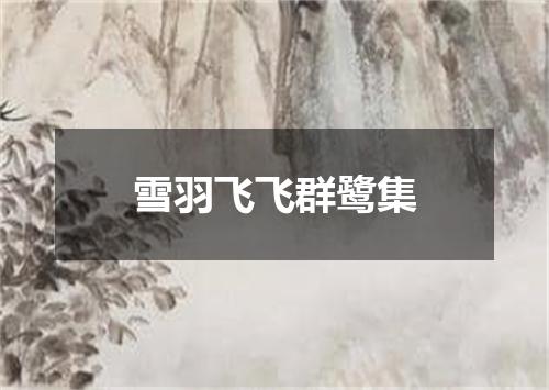 雪羽飞飞群鹭集