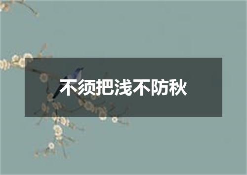 不须把浅不防秋