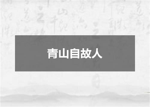 青山自故人