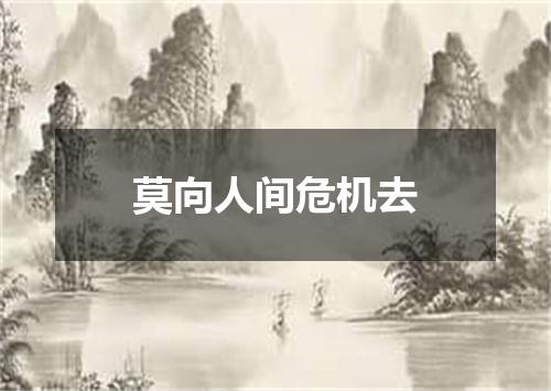 莫向人间危机去