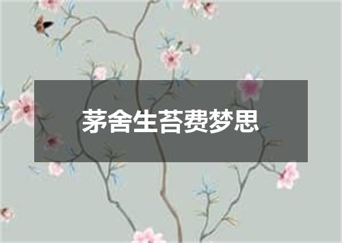 茅舍生苔费梦思