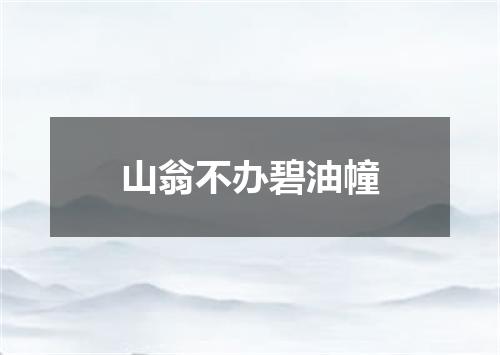 山翁不办碧油幢