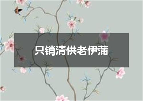 只销清供老伊蒲