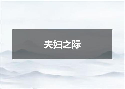 夫妇之际