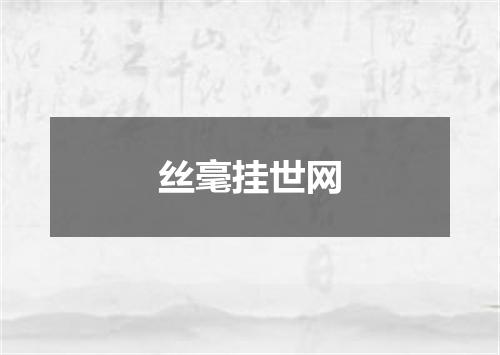 丝毫挂世网
