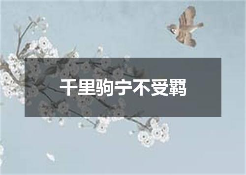 千里驹宁不受羁