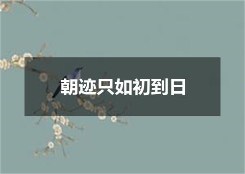 朝迹只如初到日