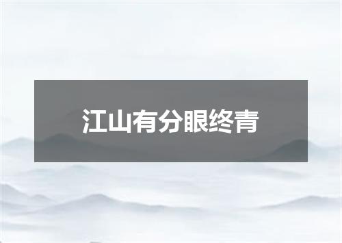 江山有分眼终青