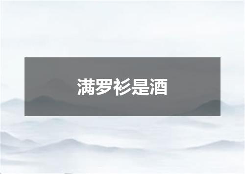 满罗衫是酒