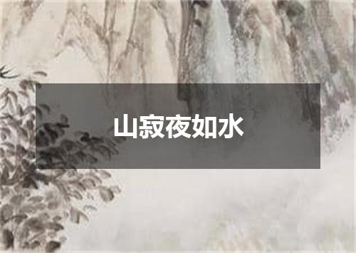 山寂夜如水