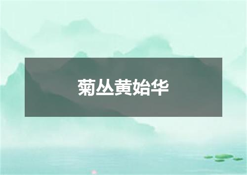 菊丛黄始华